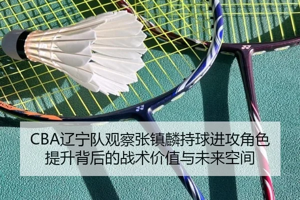 CBA辽宁队观察张镇麟持球进攻角色提升背后的战术价值与未来空间